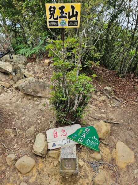 20260528特富野古道舊水山鐵道上北霞山連走東水山、兒玉山3064959