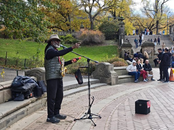[紐約馬之行-11] 2025_1101 中央公園-畢士大露臺2945086