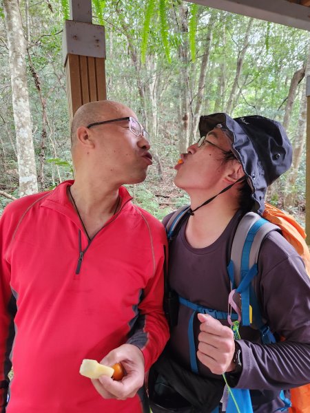 112/2/11芝生毛台山、屯野生炮台2148022