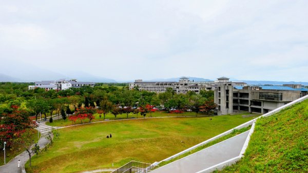 台東大學3015147