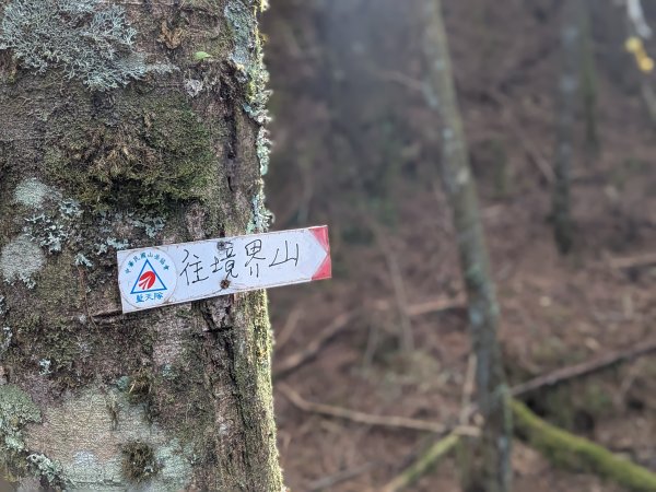 結界縱走三日(結城山、境界山、檜山)2920906