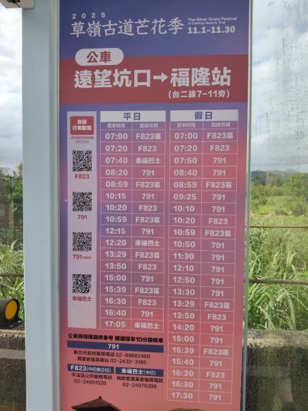 草嶺古道茫草祭2936596