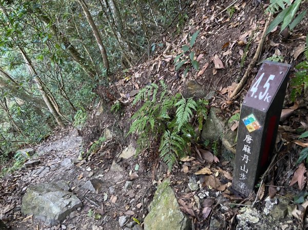 唐麻丹山-松鶴上三角點O型回松鶴2378399