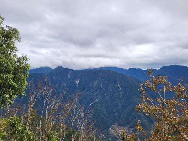 2025.11.30 谷關七雄 No.4 波津加山，不給休的蜂2952135