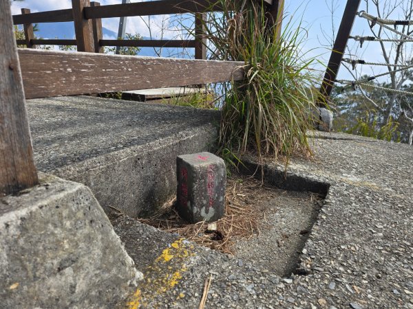 東卯山／東卯山西峰+賞山櫻花2716003