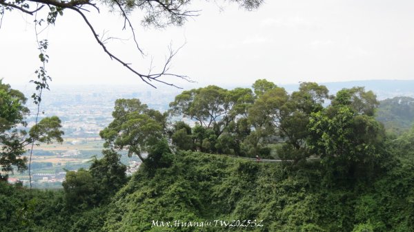 《彰化》稜線雙龍｜田中森林登山步道O型202506292824368