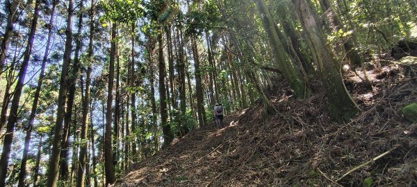 2025/06/15_盡尾山步道2812745