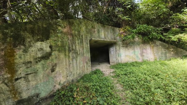 高雄 小崗山2927239