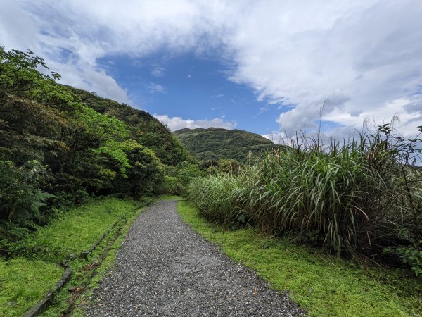 石尾路步道燦光寮山1655493