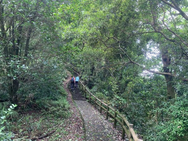 大崎棟古道、騎龍古道2772262