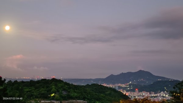 雲山水花鳥蝶 - 天龍國阿伯的日常7/18 & 21、22、292556637