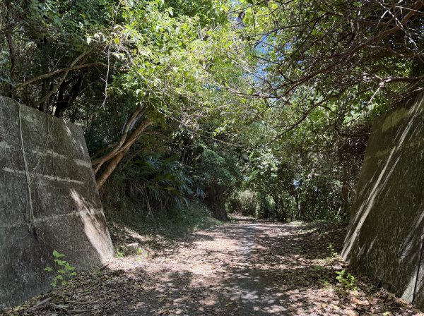 2025_1018 花蓮山步道2921263