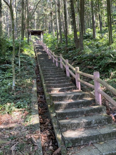 鳳鳴古道3060582