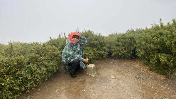 颱風中的合歡主峰、石門山1882906