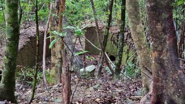 20250413浸水營古道2760438