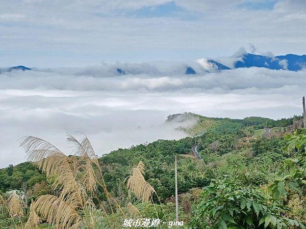 【台南。 楠西】滿滿的雲海太驚豔。 小百岳集起來。 編號67小百岳~竹子尖山步道1605900