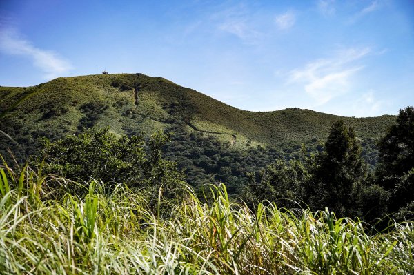大屯山連峰步道｜陽明山小百岳2856259