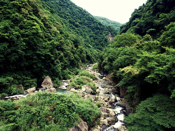 小錦屏野溪溫泉-心脾透暢614040