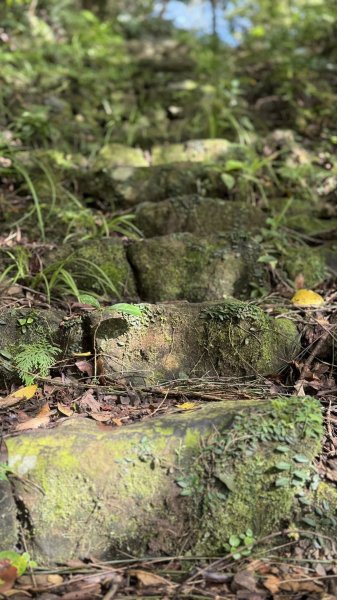 20250803枋山坑古道2850507