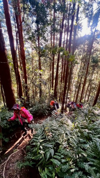 🌈11/9(日)高島縱走~高台山連走島田山山徑✨FB：熊熊趴爬走🌈2932509