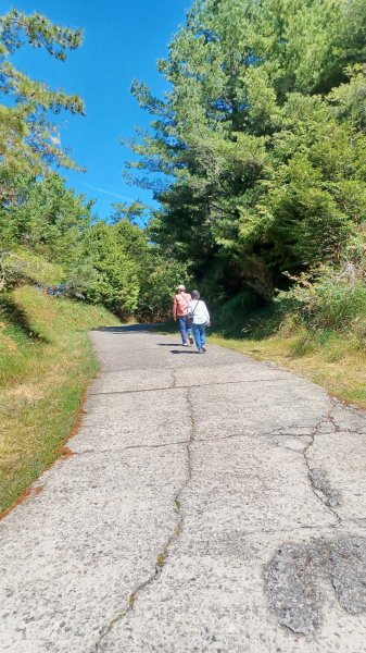 【台中和平】雪山神木步道x小雪山天池步道2933108