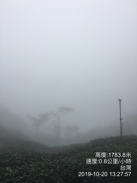 20191020_溪頭山縱走龍鳳山843259