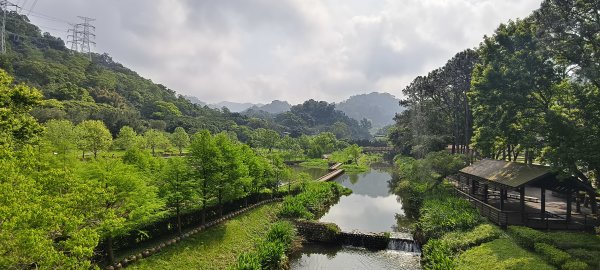2026/04/12 草嶺山+打鐵寮古道 O型3035627