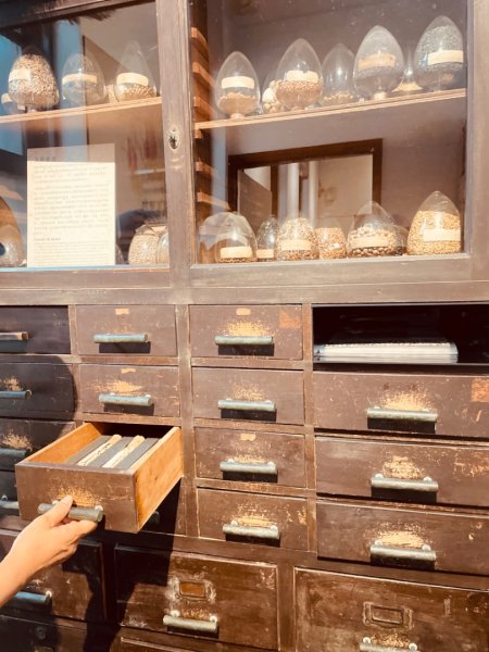 雨天備案💙 台灣博物館的古生代館-台大動植物館免費參觀-北投♨️季2807496