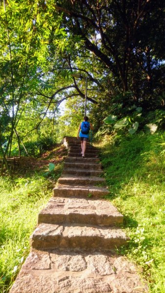 內湖白鷺鷥山1090554