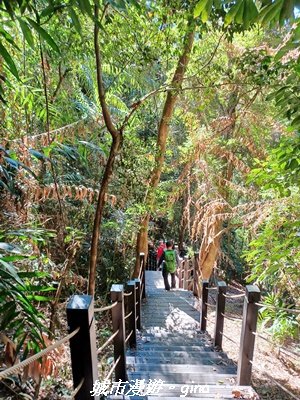 【台中和平】生態廊道。 雪山坑環線步道x巨人之手觀景點2954014