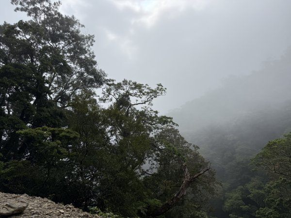 1150501浸水營古道3091918
