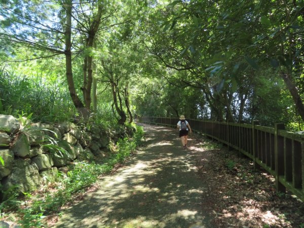 德芙蘭生態步道O形2829437