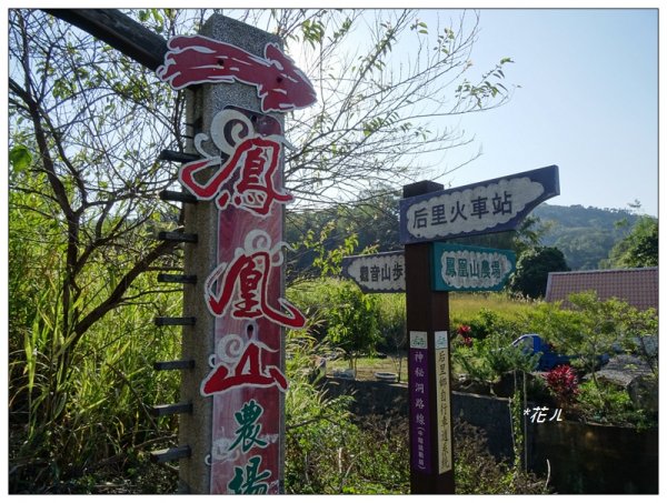 后里/鳳凰山步道之旅666161