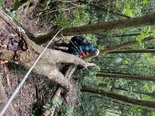 烏來西坑林道/探勘派出護管所彈藥庫遺址至獅坑橋2576286