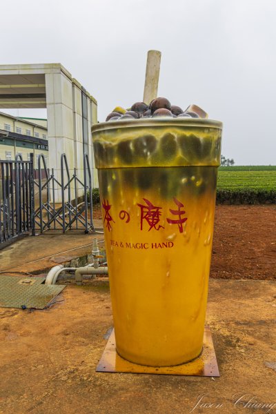 [南投]松柏坑山2683290