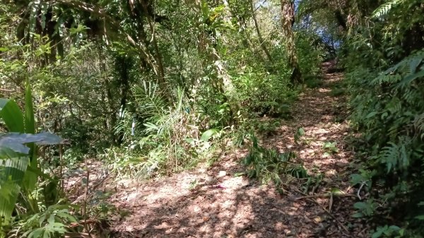 雙溪區灣潭南勢坑古道大河戀3084787