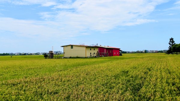 三奇美徑,52甲溼地2813327