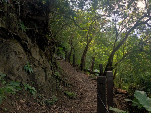 台南市南化區與高雄市內門區交界的龍鱗山（王爺崙山）步道2301082