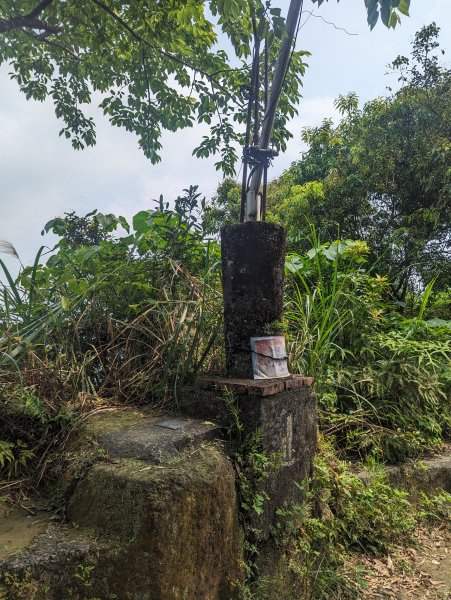 臺北大縱走第六段：富陽公園到中華科大2479115