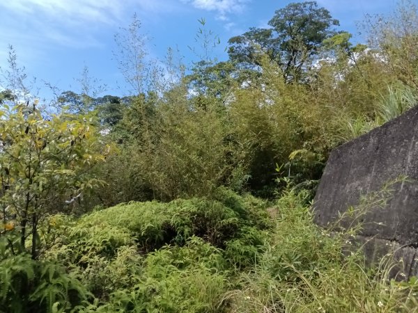 汐止區夢湖保線路+單車夢湖路O型2894092