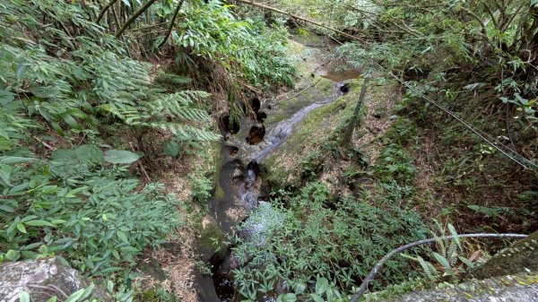 114.10.11石荀尖之旅2912036