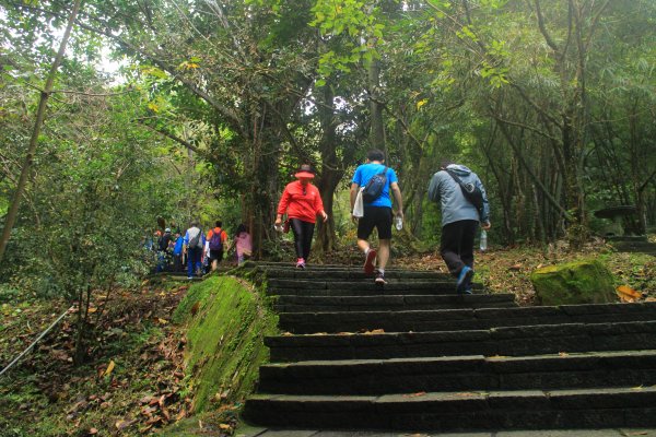 汐止大尖山健行活動 20191109735073