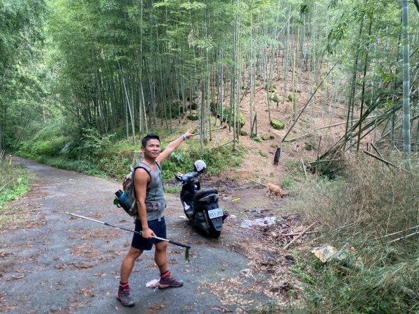 溪頭山-竹崙山-志騰山【夏日最愜意的避暑路線】2891496