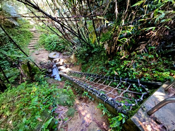 (五分山系)望古瀑布-2025微笑山線大縱走尋寶集章任務2855267