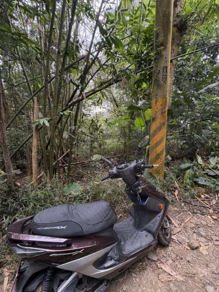 20251108白雲山步道2935183