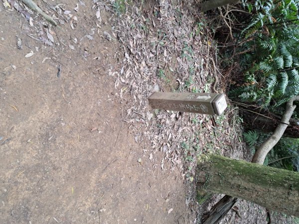 2026微笑山線筆架連峰段3103650