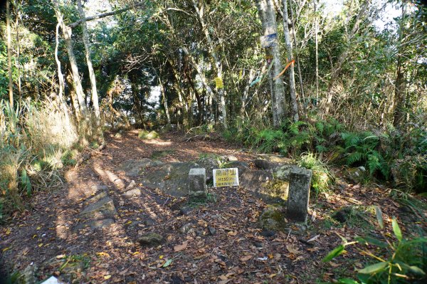 新竹 五峰 鳥嘴山、大窩山2956859