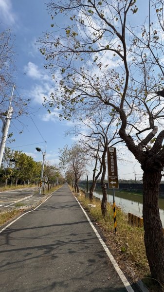 🚴‍♂️ 台南單車慢漫遊3003305