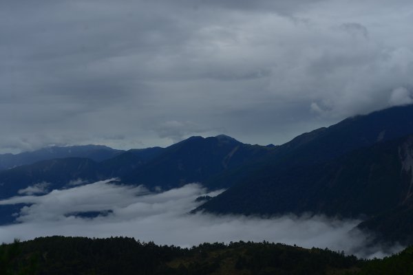 向陽山｜三叉山｜嘉明湖2325017