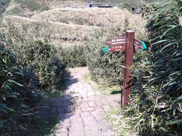 【臺北大縱走第二段】小油坑至二子坪完成1263060